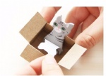 Cute Mini Boxed Cat Post-It Notes