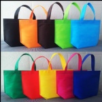 Non Woven Bag With Handle