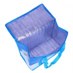 Custom logo Cooler Bag Insulation Folding Picnic Portable Ice Pack Food Thermal Bag Food Delivery Bag Drink Carrier Insulated Bag