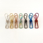 Colors Clothing Pants Underwear Towel Socks Multipurpose Small Metal Clip Party Wedding Stainless Steel Pegs Clips